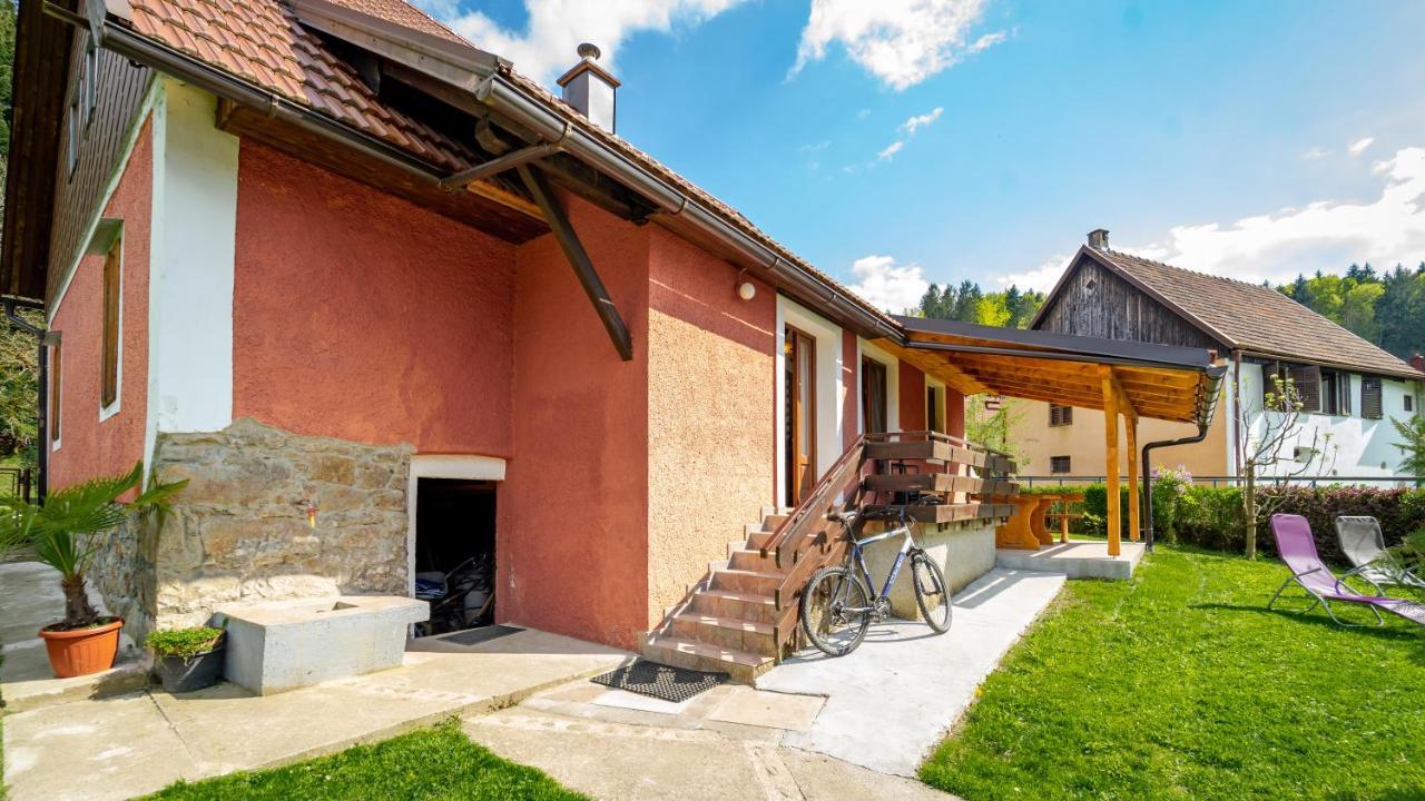 Villa Gorska Kuca Elin à Brod na Kupi Extérieur photo