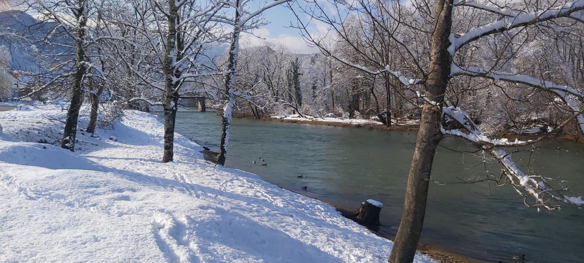 Villa Gorska Kuca Elin à Brod na Kupi Extérieur photo